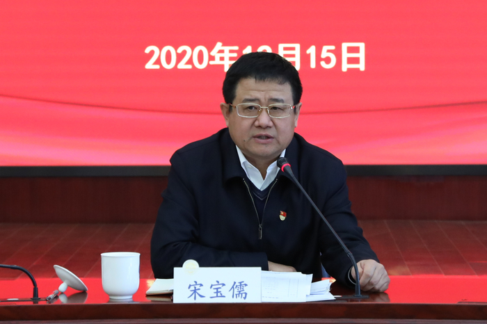 宋寶儒書記講話