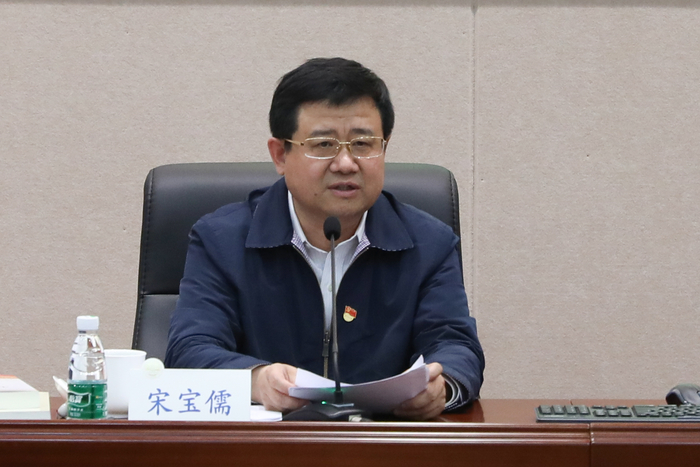 宋寶儒書記作動員講話